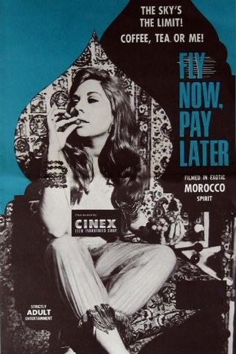 Fly Now, Pay Later Poster