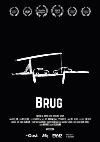 Brug Poster