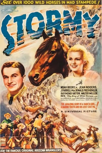 Stormy Poster