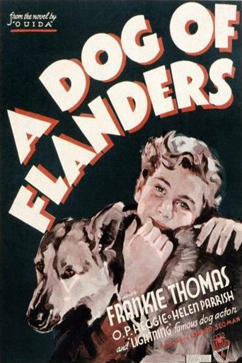 A Dog of Flanders Poster