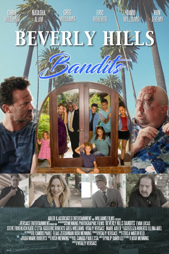 Beverly Hills Bandits Poster