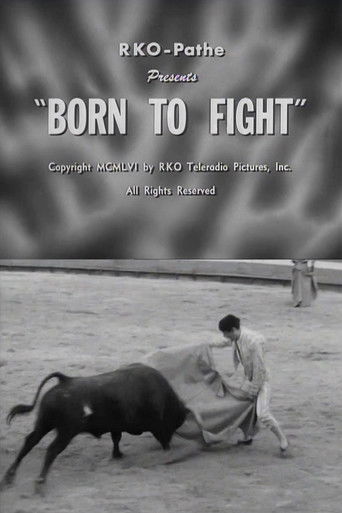 Born to Fight Poster
