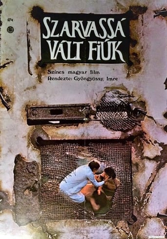 Sons of Fire Poster