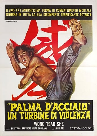 The Invincible Iron Palm Poster