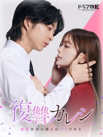 Revenge Boyfriend Poster