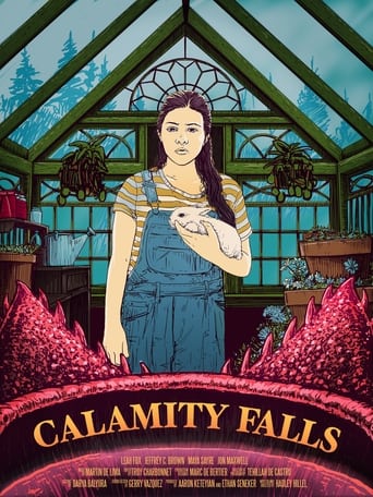 Calamity Falls Poster