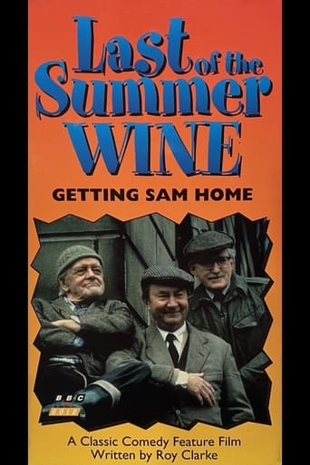 Getting Sam Home Poster