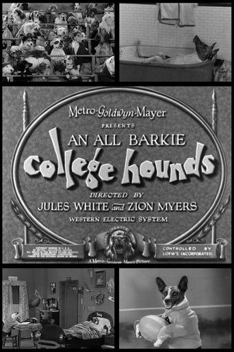 College Hounds Poster
