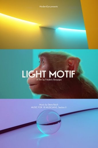 Light Motif Poster