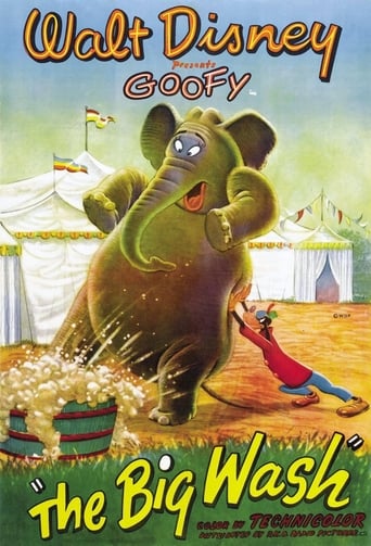 The Big Wash Poster