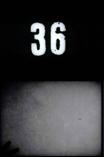Fluxfilm No. 36 Poster