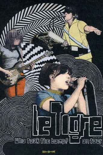 Who Took the Bomp? Le Tigre on Tour Poster