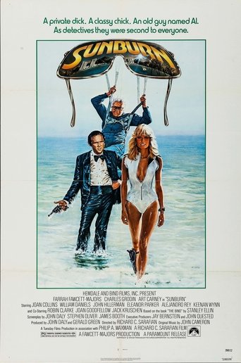 Sunburn Poster