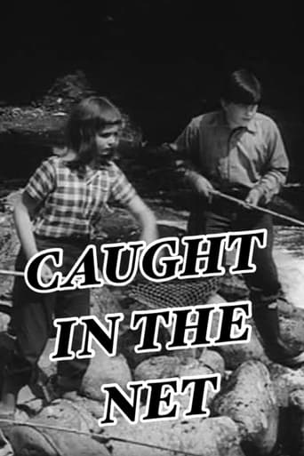 Caught in the Net Poster
