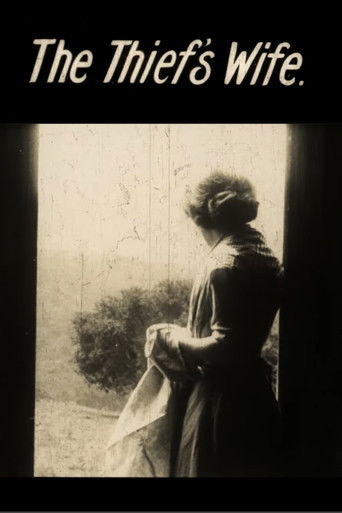 The Thief's Wife Poster