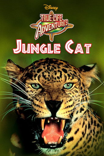 Jungle Cat Poster
