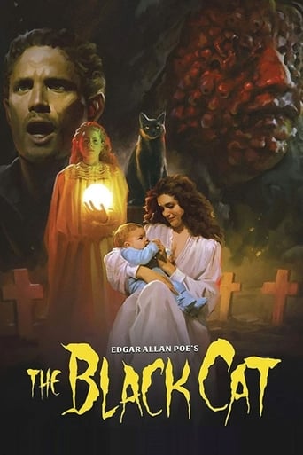 The Black Cat Poster