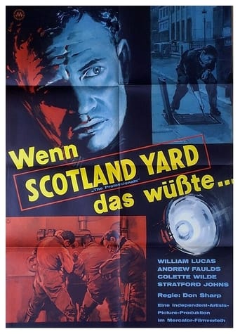 The Professionals Poster