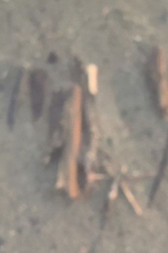 Pending Poster