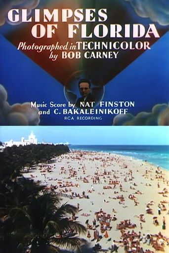 Glimpses of Florida Poster