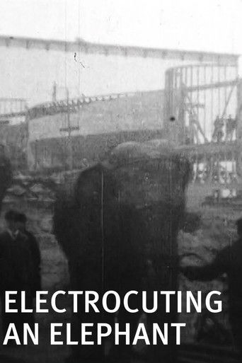 Electrocuting an Elephant Poster