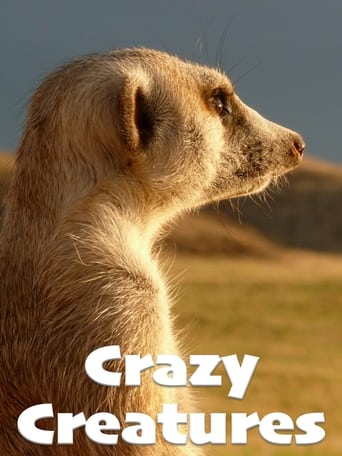 Crazy Creatures Poster