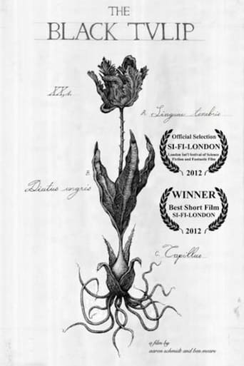 The Black Tulip Poster