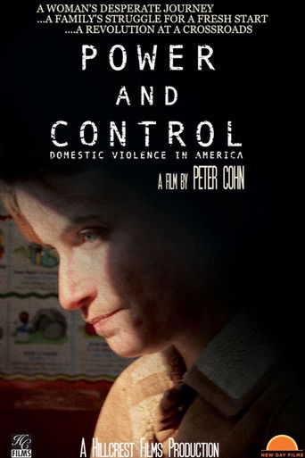 Power and Control: Domestic Violence in America Poster