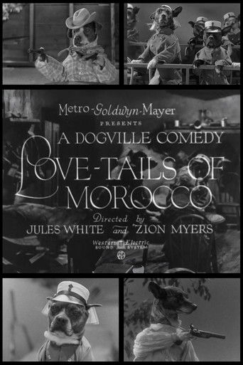Love-Tails of Morocco Poster
