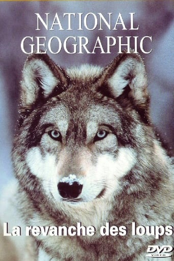 In the Valley of the Wolves Poster