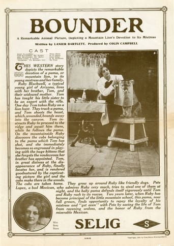 Bounder Poster
