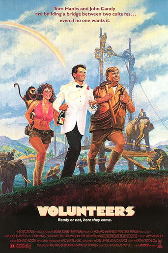 Volunteers Poster