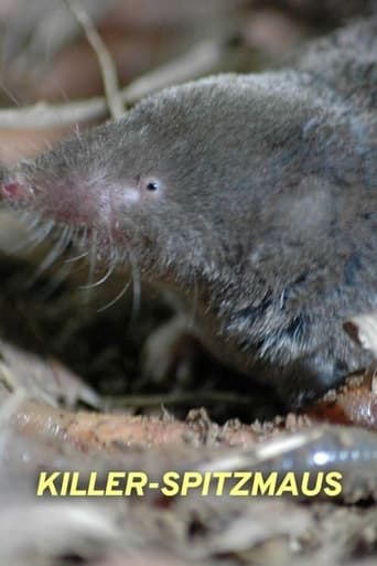 Killer Shrew Poster
