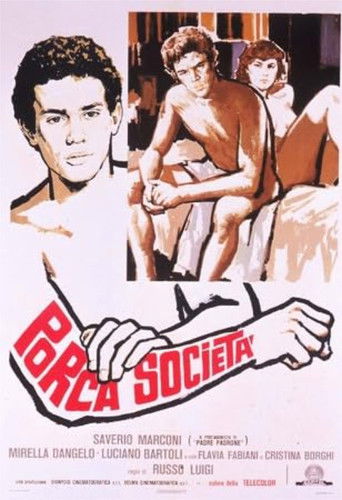 Porca società Poster