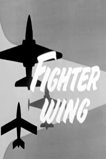 Fighter Wing Poster