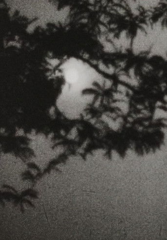 Moonplay Poster