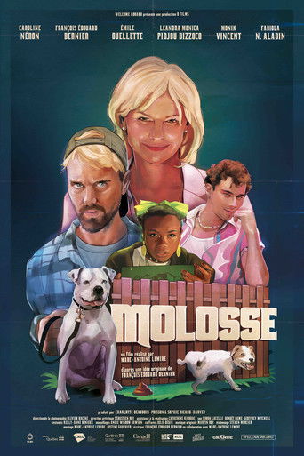 Mad Dog Poster