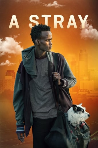 A Stray Poster