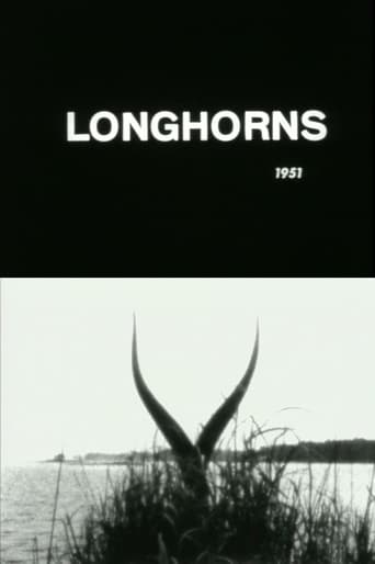 Longhorns Poster
