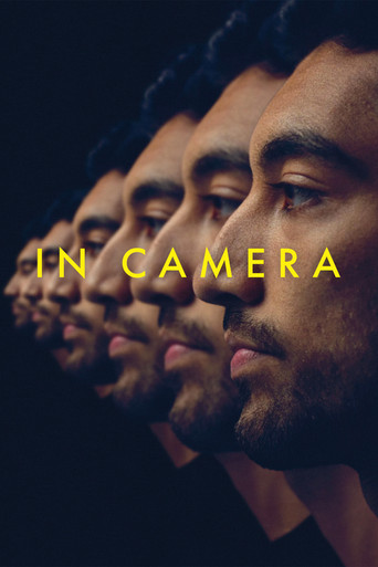 In Camera Poster