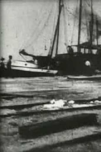Bird's-Eye View of Dock Front, Galveston Poster