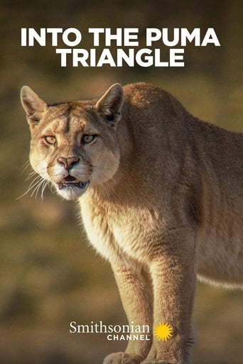 Into the Puma Triangle Poster