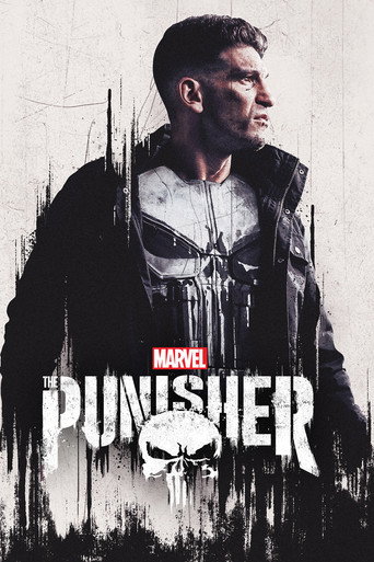 Marvel's The Punisher Poster