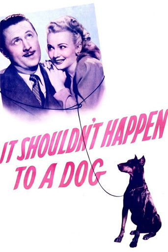 It Shouldn't Happen to a Dog Poster