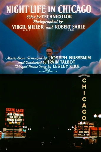 Night Life in Chicago Poster