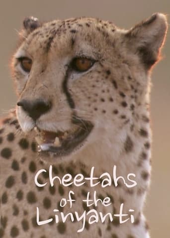 Cheetahs of the Linyanti Poster