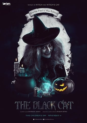 The Black Cat Poster
