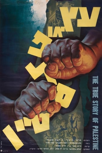 The True Story of Palestine Poster
