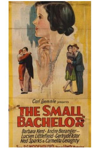 The Small Bachelor Poster