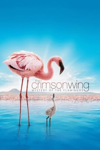 The Crimson Wing: Mystery of the Flamingos Poster